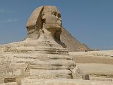 Le Caire Gizeh Sphinx 0282